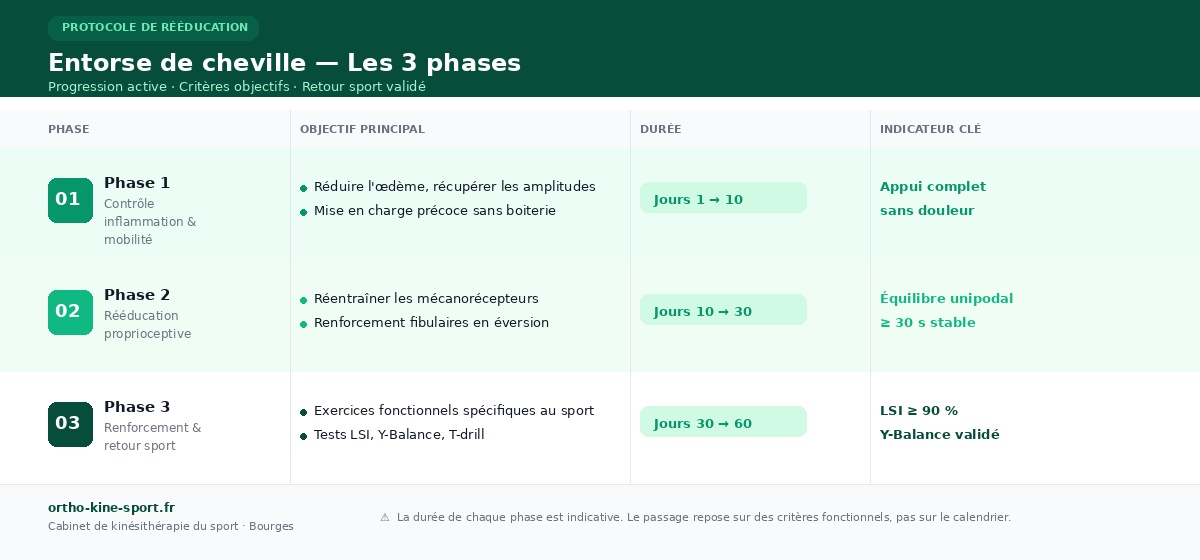 Tableau phase récupération entorse cheville